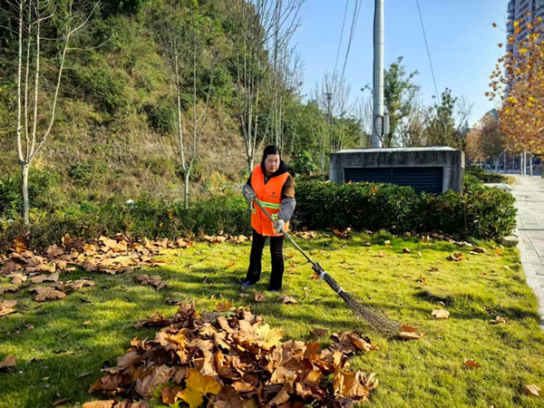 贵州仁怀城市“美容师”杨春先:八年坚守绘“新境”