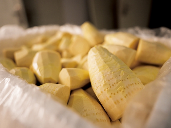 贵州赤水“黄金笋”的成渝之旅:从竹林到餐桌的鲜味速递