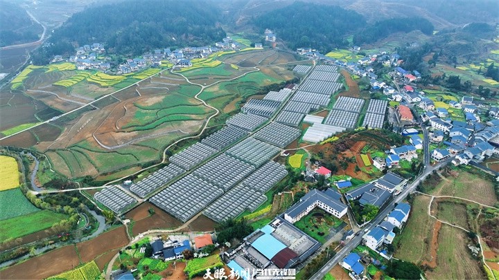 贵州:让传统文化焕发时代生机