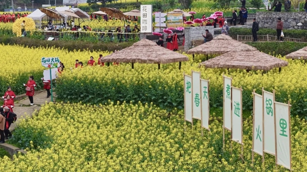 贵州正安:“花事”繁盛处 经济“开花”时