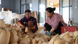 贵州独山：田垄披绿果蔬香 硕果盈枝振兴忙