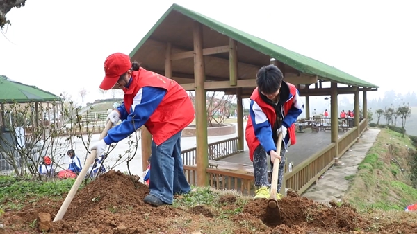 贵州丹寨开展义务植树活动 为生态建设增绿添彩