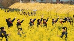 贵州正安：千亩油菜花海点亮“不夜天”