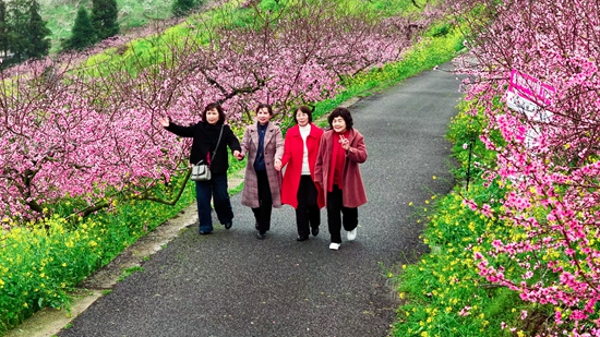贵州镇远古城第四届“花语节”暨赏花季启幕