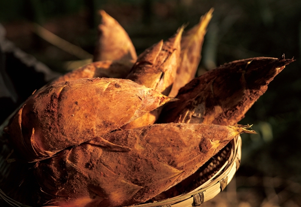 贵州赤水“黄金笋”的成渝之旅:从竹林到餐桌的鲜味速递