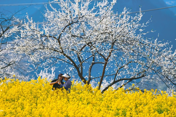 貴陽市烏當區:“一泉一山一田園·半城半隱慢旅居” 繪就康養旅居新藍圖