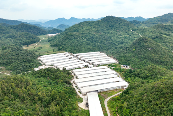 担当作为开新局 贵州清镇“新年第一会”不一般