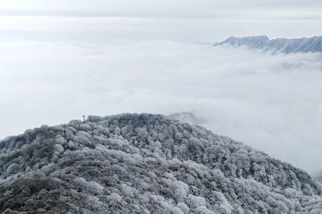 贵州铜仁:梵净山迎2026初雪 绘就冬日童话画卷