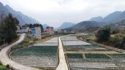 贵州罗甸：推进10万亩高标准农田建设 赋能农业现代化发展