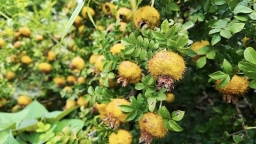 六枝特区在高质量发展的路上实现“多彩跨越”