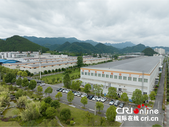 2026年贵州省两会 | 一抹东方绿意漂洋过海的秘密 贵州省人大代表蒙祖德揭秘贵州抹茶出海的四颗“定心丸”