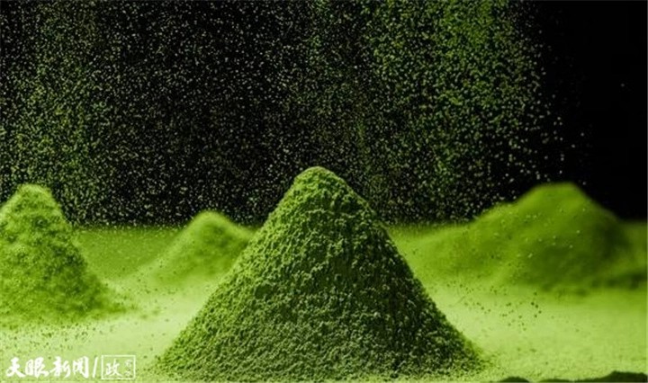 阳光为舵 技改为帆!“世界抹茶超级工厂”驶入零碳新航道