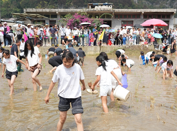 稻香魚躍慶豐收 六盤水市六枝特區供銷系統綜合改革拉開序幕