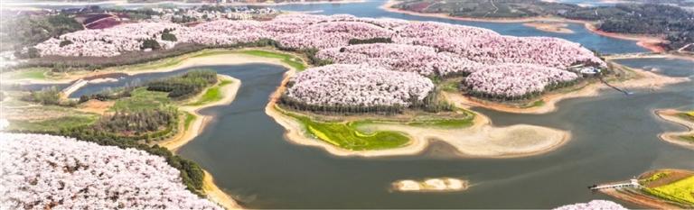 花漾贵州上春山