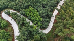 粤贵花开在遵义 | 山海携手 业兴民富 铺就赤水共富硬路径
