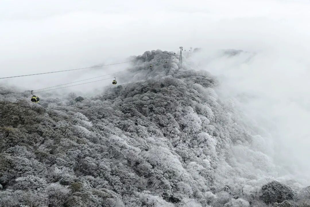 贵州铜仁:梵净山迎2026初雪 绘就冬日童话画卷