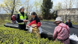 贵州平塘：“茶山警务”守护春茶香
