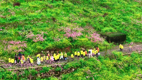 贵州镇远古城第四届“花语节”暨赏花季启幕