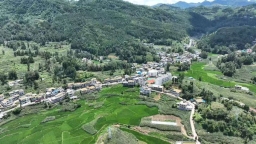 贵州省乡村振兴优秀驻村第一书记刘东阳：科技星火点亮山乡