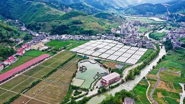 贵州仁怀东升农场:夏收夏管齐上阵 特色蔬果助振兴