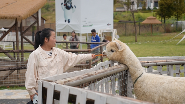 贵州龙里:近郊休闲游热度高涨 游客沉浸式感受乡村文旅别样魅力