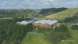 粤黔协作助力贵州特色农业提档升级
