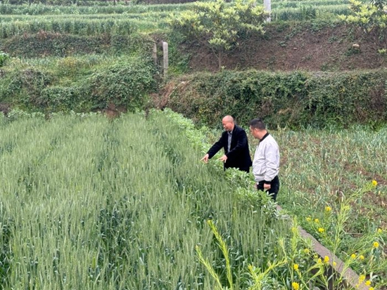 贵州修文六广镇:践行“领导联村、部门包村、干部到村”机制 树立正确政绩观
