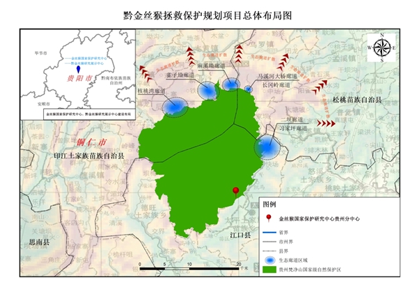 贵州省发布黔金丝猴拯救保护规划