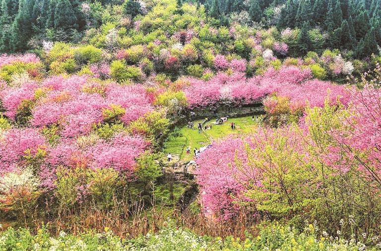 花漾贵州上春山