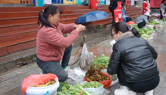 贵州盘州:春菜争“鲜”上市 舌尖品尝“春意”