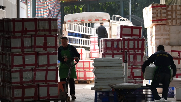 贵州赤水“黄金笋”的成渝之旅:从竹林到餐桌的鲜味速递