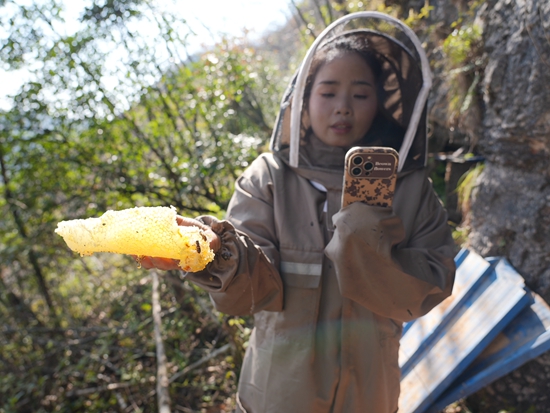 贵州镇远:蜂农李崇华在深山林间酿出“甜蜜事业”