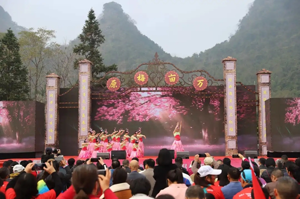 “马踏春风·美‘荔’相约” 第二十一届荔波万亩梅花报春季活动开幕