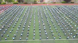 体育百花开，教学果盈枝！道真曙光小学创新打造体教融合新范式