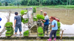 贵州沿河：机械化助力水稻插秧跑出“加速度”