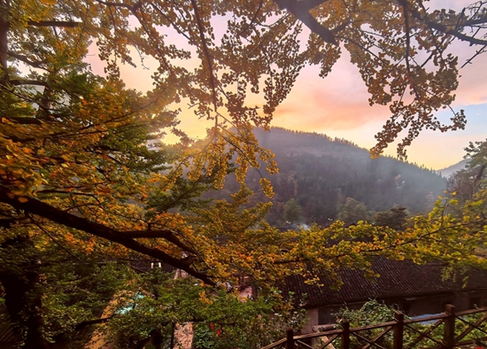 盘兴高铁:钢铁长龙穿越喀斯特奇山秀水