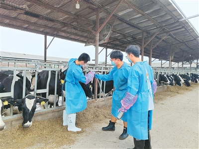 科技小院飘奶香