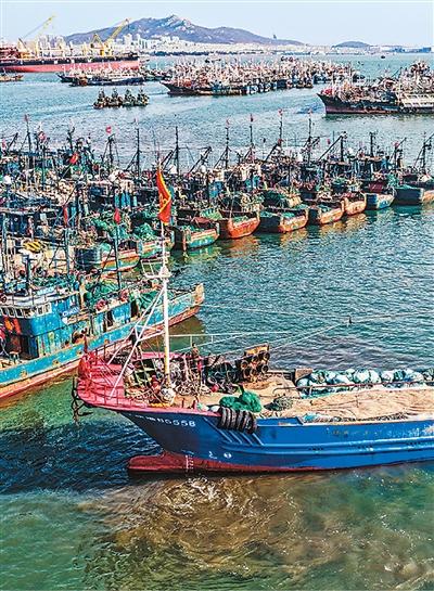 出海准备忙