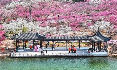 消费市场活力迸发