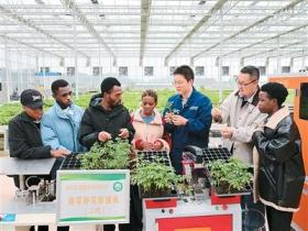 中非多领域合作取得里程碑式的巨大成就