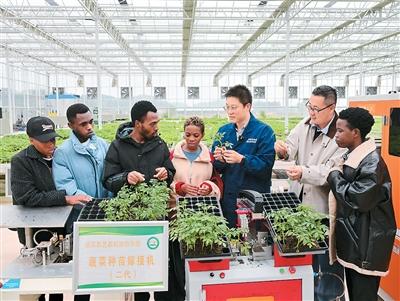 中非多领域合作取得里程碑式的巨大成就