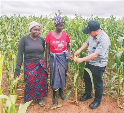 科技小院 从中国创新走向全球推广