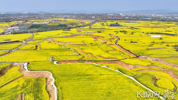 一“花”引得百业兴 解码邢台沙河红薯岭的绿色发展方程式