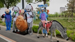 保定市莲池区：全民同心助力 护航保定马拉松