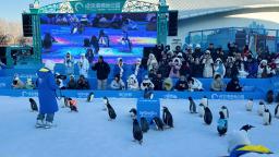 “冰雪+”叫响文旅IP！黑龙江深挖冰雪资源 催热冬日经济