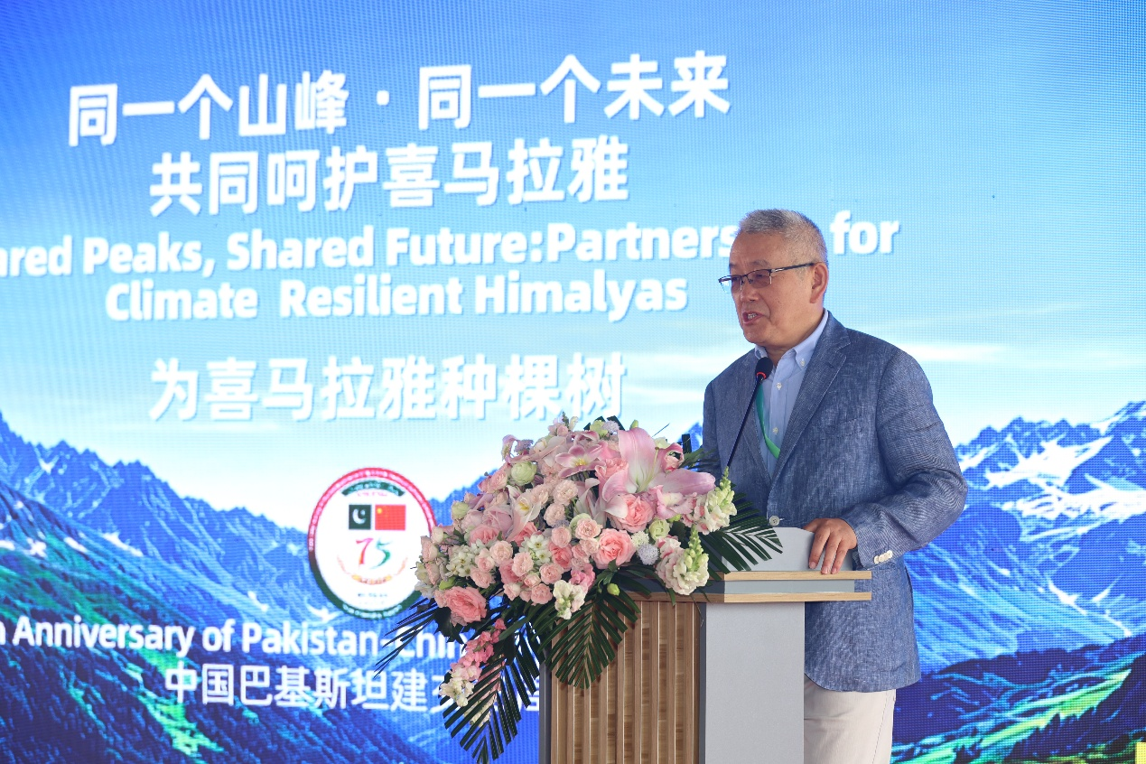 图片默认标题