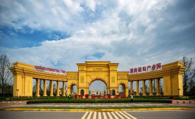 【“县”声夺人】渭南市临渭区:产业文化生态协同并进 绘就乡村振兴新画卷