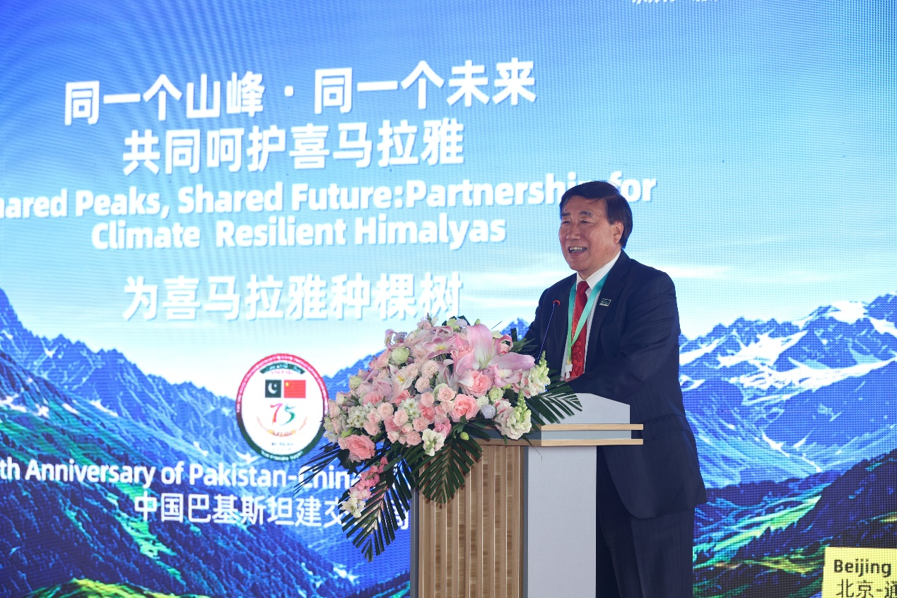 图片默认标题