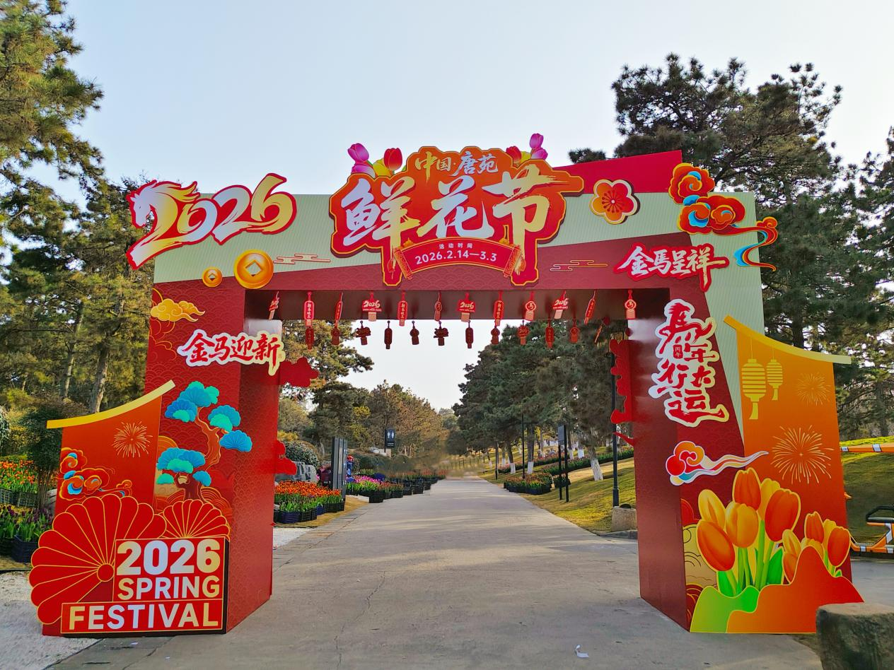 中国唐苑20万株郁金香新春盛放 邀你沉浸式打卡莫奈花海