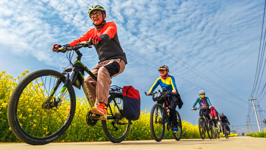 南阳市新野县:花开引客来